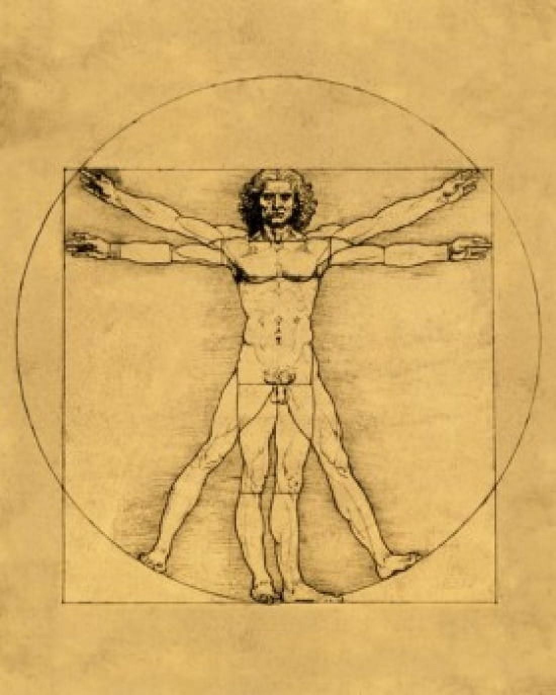 Proportions of the Human Figure (Vitruvian Man) ca 1485-1490 Leonardo da Vinci (1452-1519 Italian) Pen and ink Galleria dellAccademia Venice Italy Canvas Art - Leonardo da Vinci (18 x 24)