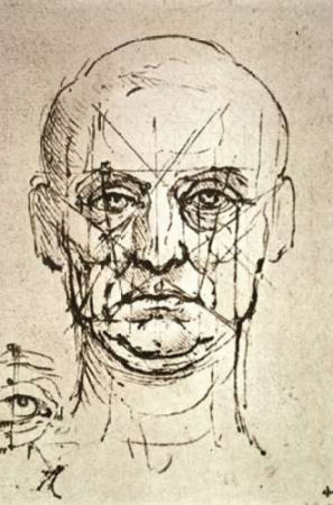 Proportions of the Face Canvas Art - Leonardo Da Vinci (24 x 36)