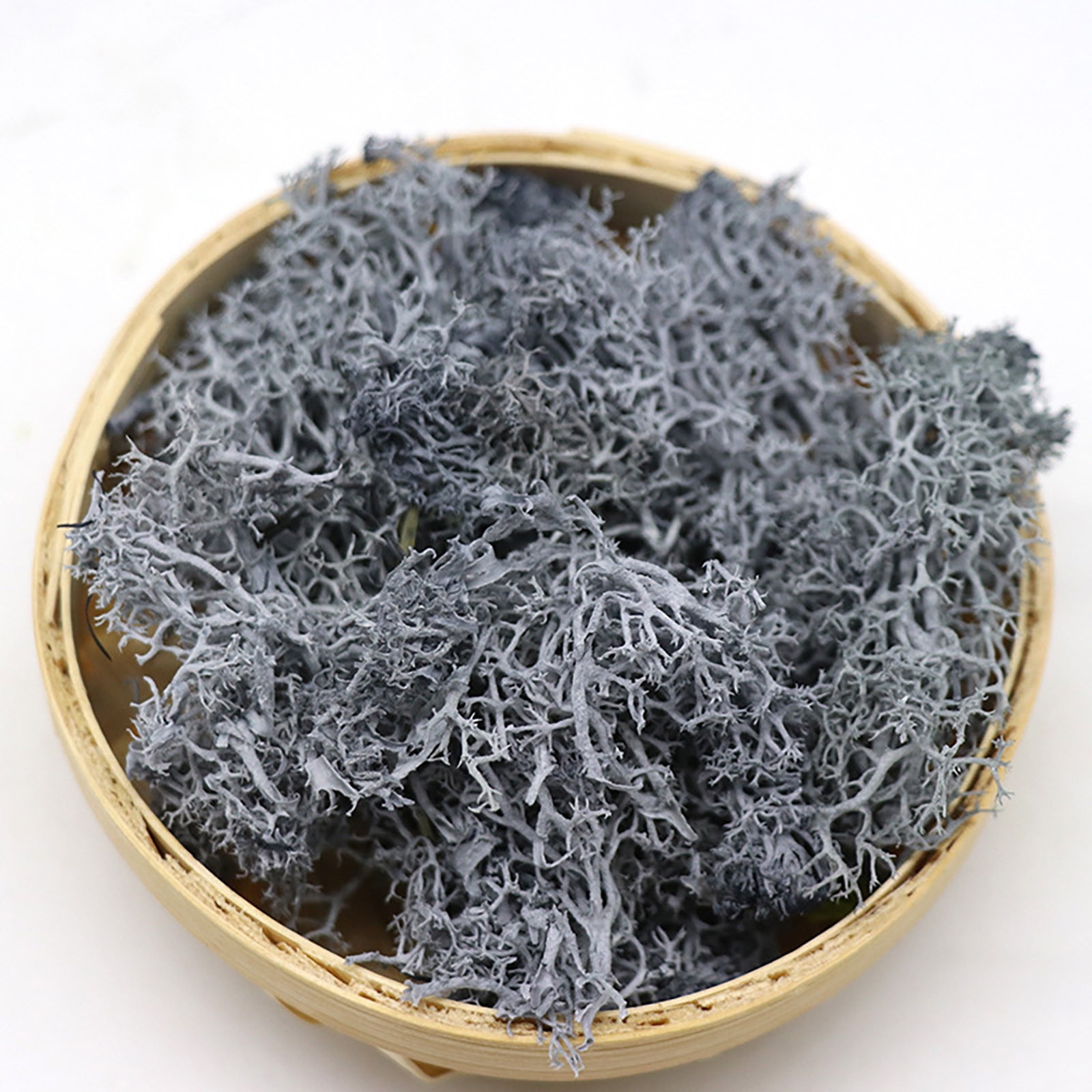 Props For Photoshoot Potted Plants Garden Decoration Immortal Natural