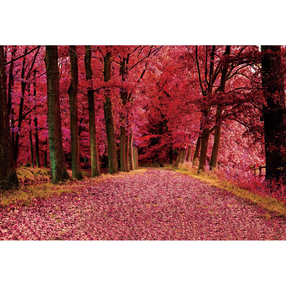 Studio Fall Background Props Studio Backdrop Photography View Leaves Fall Yellow and Tree Road ...