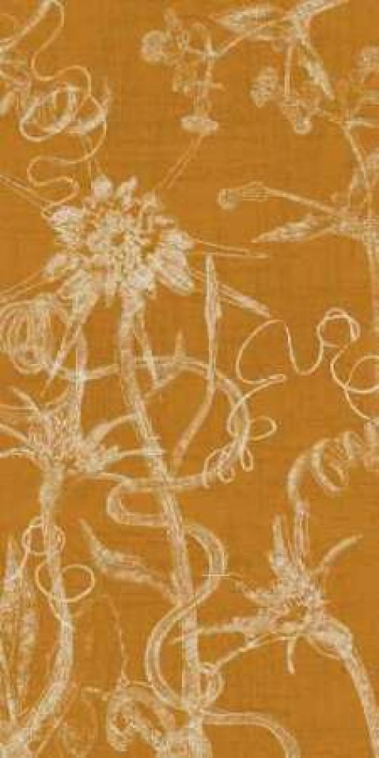 Prose and Verse I Canvas Art - Amori (24 x 48)