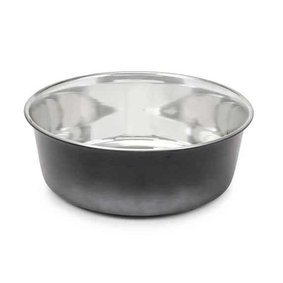 Proselect PS Stainless Steel Ombre Bowl Large