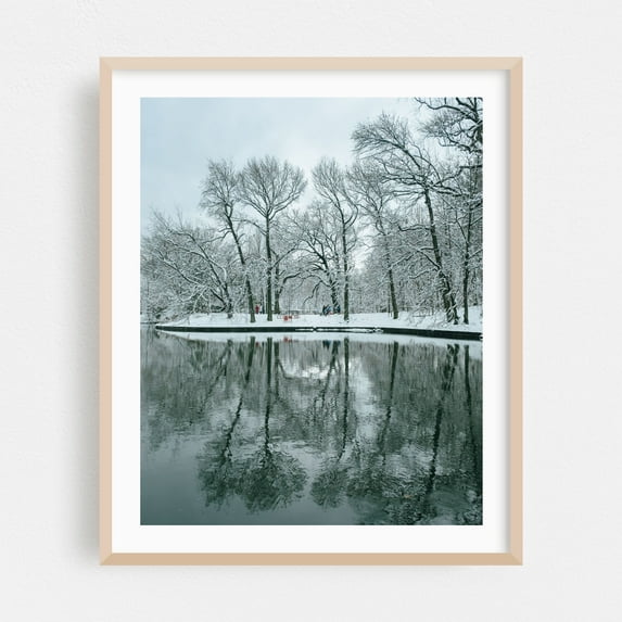 Prospect Park Lake, Brooklyn - Brooklyn New York Photography Winter Snow Nature Scenic Landscape Forest Oak Framed Wall Art Print 11 x 14 inches
