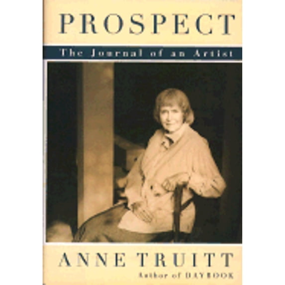 Pre-Owned Prospect : The Journal of an Artist