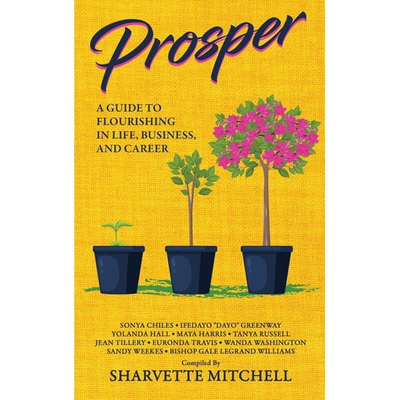 Prosper: A Guide to Flourishing in Life, Business, and Career, (Hardcover)