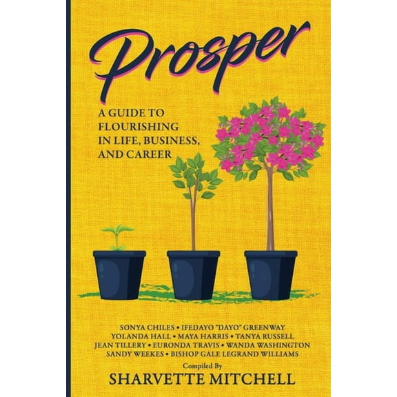 Prosper: A Guide to Flourishing in Life, Business, and Career, (Paperback)