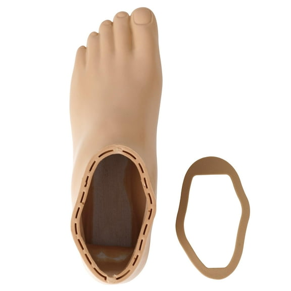 Prosthetic Foot Shell with Cap  Compatible with Freedom Innovations Prosthetic Foot  Sizes 2230 cm, Left/Right