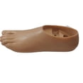 thumbnail image 1 of Prosthetic Leg Implant artificial limbs double axis foot with two hole for Leg prosthesis, 1 of 9