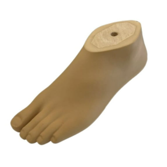 Prosthetic SACH Foot with Adapter, Sizes 21-30, Left & Right Available, Beige Durable Polyurethane, Solid Ankle Cushion Heel, Lightweight & Comfortable, Easy Installation for Below-Knee Amputee