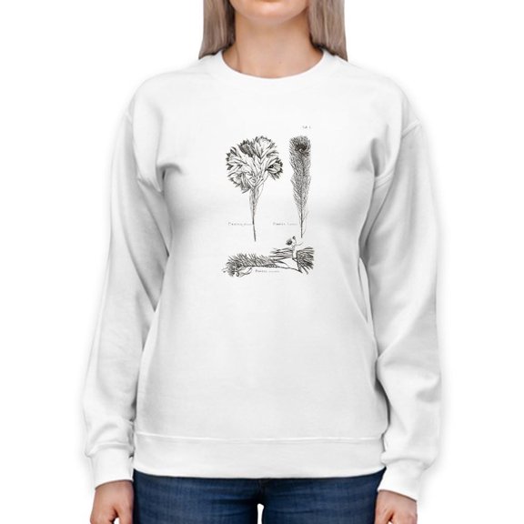 Protea On Linen I Sweatshirt Women -Vision Studio Designs, Female Medium