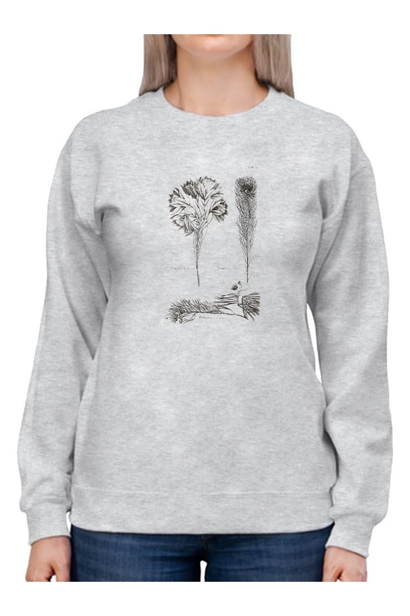 Protea On Linen I Sweatshirt Women -Vision Studio Designs, Female Small