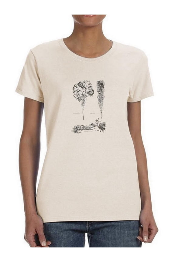 Protea On Linen I T-Shirt Women -Vision Studio Designs, Female 3X-Large