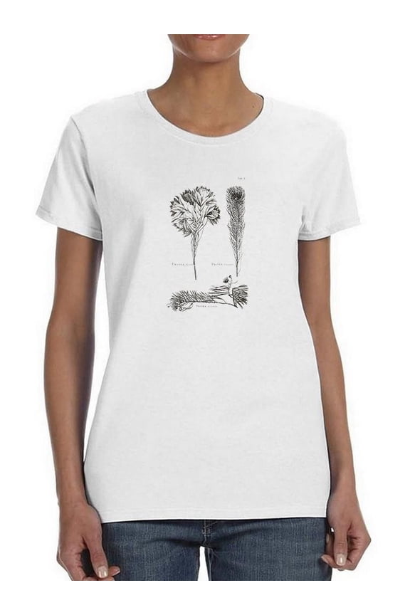 Protea On Linen I T-Shirt Women -Vision Studio Designs, Female Small