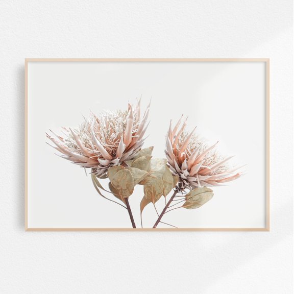 Protea Print Boho Botanical Printable Art, Dried Protea Wall Art Pink Flower Printable Art Dried Flower Art Floral Boho Bedroom Decor Wall Art, Modern Wall Decor, 8x12 UNFRAMED