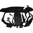 thumbnail image 1 of Proteam Backpack Backplate Harness OEM # 103166, 1 of 1