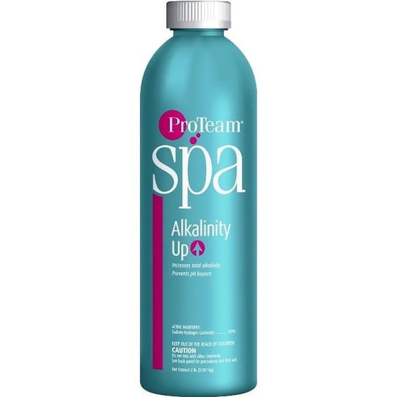 Proteam Spa Alkalinity Up - 1lb C003943-CS20P5