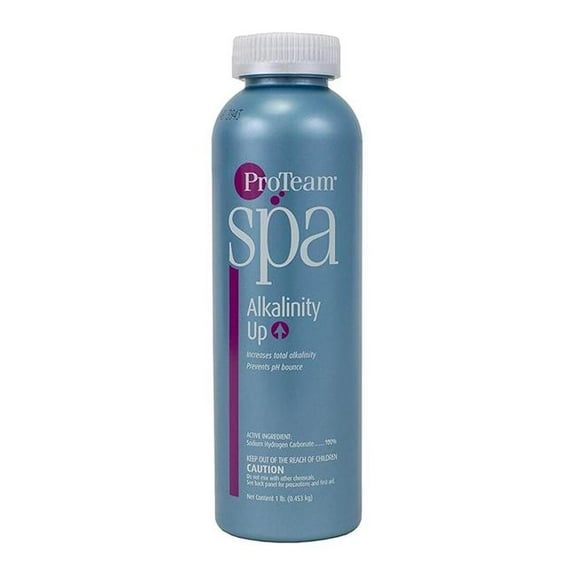 Proteam Spa Alkalinity Up - 1lb C003943-CS20P5