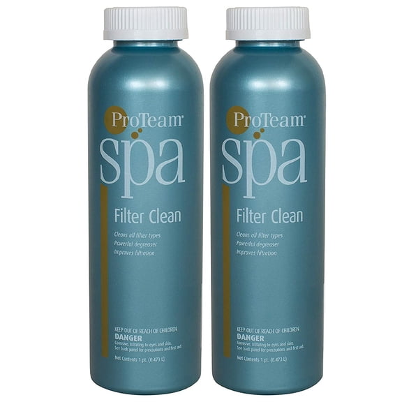 proteam spa filter clean, 16oz c003950-cs40p