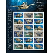 Protect Sea Turtles Forever Postage Stamp 1 Book of 18 USPS First Class Green Nature Sea Ocean Animal Wedding Celebration Announcement (18 Stamps)