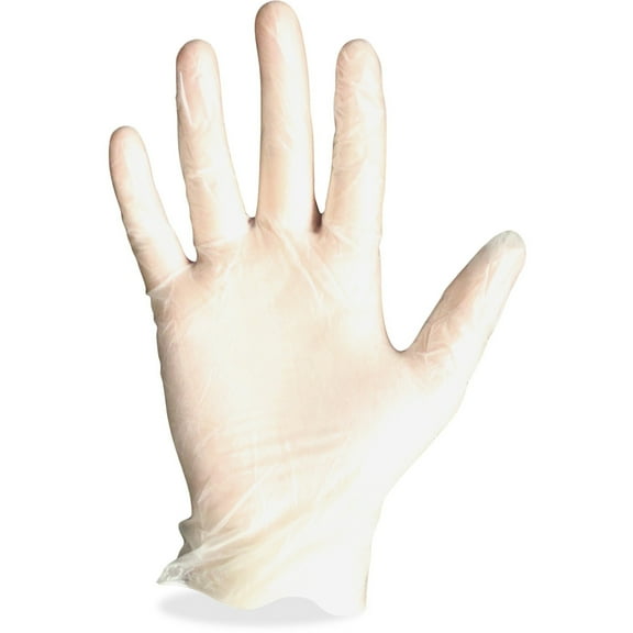 GEN General Purpose Vinyl Gloves, Powder-Free, Small, Clear, 3 3/5 mil, 1000/Box -GEN8961SCT