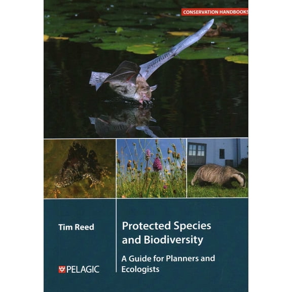 Conservation Handbooks Protected Species and Biodiversity: A Guide for Planners and Ecologists, (Paperback)