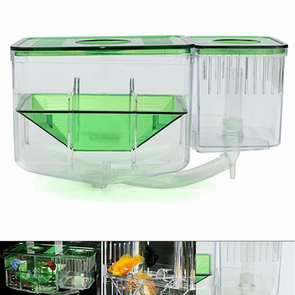 Protection Safe Spawn Baby Fish Breeding Plastic Isolation Box Tank ...