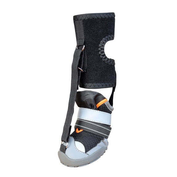 Protective Dog Boot With Elastics Belt Dog Boot Recovery,Shoe Pet Paws Protectors for Active Dogs Outdoor