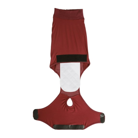 Protective Dog Recovery Clothing Pet Jumpsuit For Safe Post Surgeries Experience