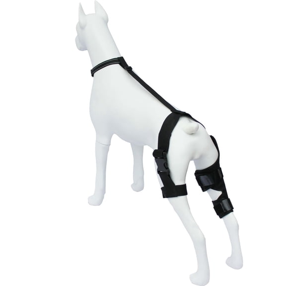 Protective Gear Leg Injury Support Brace Leg Sleeve Double Leg Rehabilitation Brace Leg Joint . Italian Greyhound Accessories Dog Harness with Panniers Dog Supplies Checklist Accessories Dog