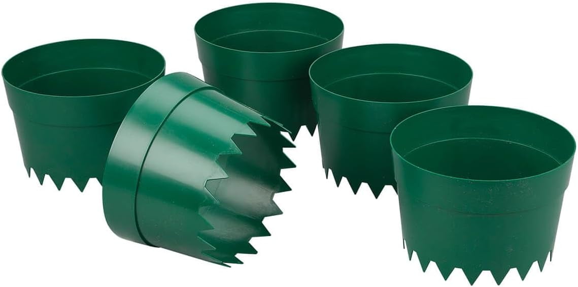 Protective Plant Rings, Set of 5