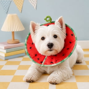 Protective Soft Summer Dog Collar for Dogs Cats,Gentle Recovery Cone Alternative to E-Collar for Teething Post-Surgery Comfort,Lightweight Breathable Adjustable Female Dog Collar (Watermelon Red, S)