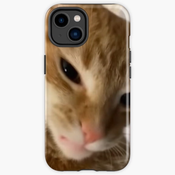 Protective iPhone Case Angry Orange Cat Grumpy Tabby Feline Expressive Portrait Shield IP15 Magnetic MagSafe Compatible