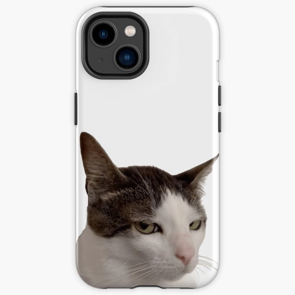 Protective iPhone Case Judgmental Cat That Seriously Look Grumpy Face Shield IP15 Magnetic MagSafe Compatible