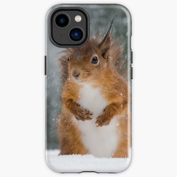 Protective iPhone Case Red Squirrel In The Snow Cute Backyard Wildlife Rodent Phone Case IP13/14 Magnetic MagSafe Compatible