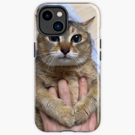 Protective iPhone Case Tole Tole Vro Cat Indian Truck Art Vibrant Folk Feline Shield IP13/14 Magnetic MagSafe Compatible