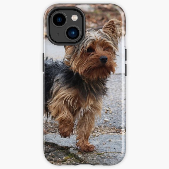 Protective iPhone Case Yorkshire Terrier Fluffy Toy Breed Pet Portrait Heavy Duty Shockproof Hard Shell IP13/14 Magnetic MagSafe Compatible