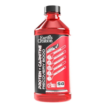 Protein + Carnitine Recovery 8000