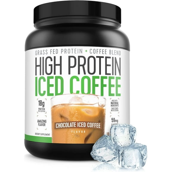 Coffee Snax Protein Iced Coffee, High Protein Coffee Powder, Keto Friendly, (18 Servings, Chocolate)