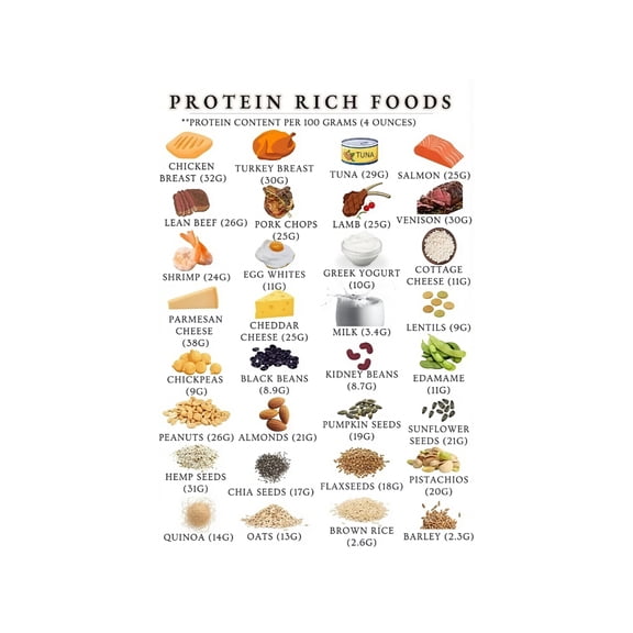 Protein Rich Foods Chart Poster High Protein Nutrition Guide Food List Values Printable for Kitchen Wall Chart Home Gym and Meal Prep