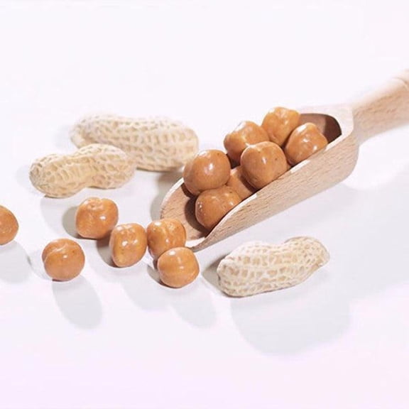 ProteinWise - Peanut Caramel Coated Soy Snacks - 7/Box