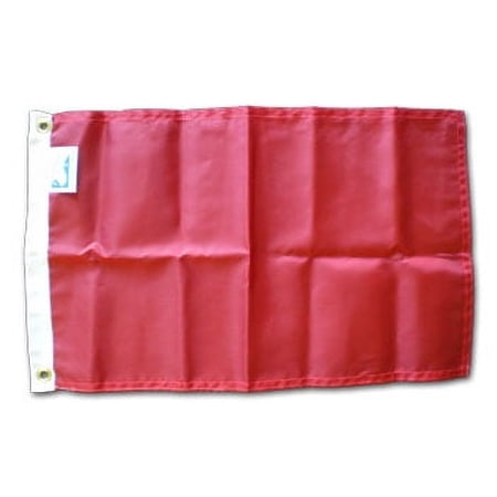 Protest - 12"x18" Nylon Flag
