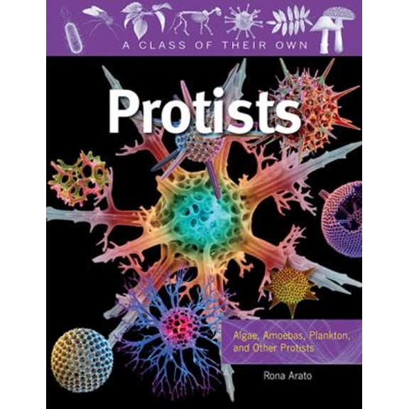 Pre-Owned Protists: Algae, Amoebas, Plankton, and Other Protists (Paperback) 0778753913 9780778753919