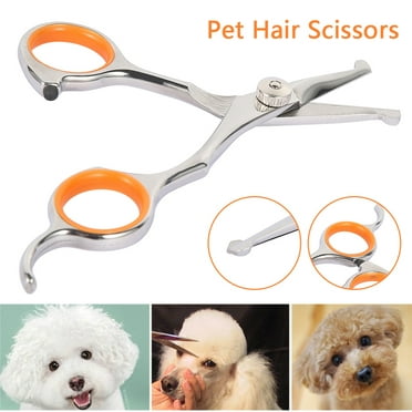 Protoiya Pet Grooming Scissors with Round Tip Professional Hair Scissors Regular Shears for Body Fur Thinning Shears Sharp Edge Trimming Animal Hairdressing Cutting Tools for Dogs Cats and Rabbits
