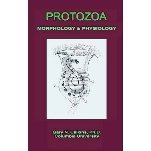Protozoa Morphology & Physiology (Microbiology Series) (Hardcover)