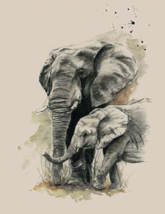 Proud Canvas Art - Sarah Stokes (22 x 28)