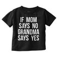 thumbnail image 1 of Proud Grandma Funny Spoiled Grandbaby Toddler Boy Girl T Shirt Infant Toddler Brisco Brands 12M, 1 of 6