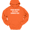 thumbnail image 1 of Proud Mother of a Few Dumbass Kids Hooded Sweatshirt Hoodie Funny Mom Day Gift - Orange, S, 1 of 1