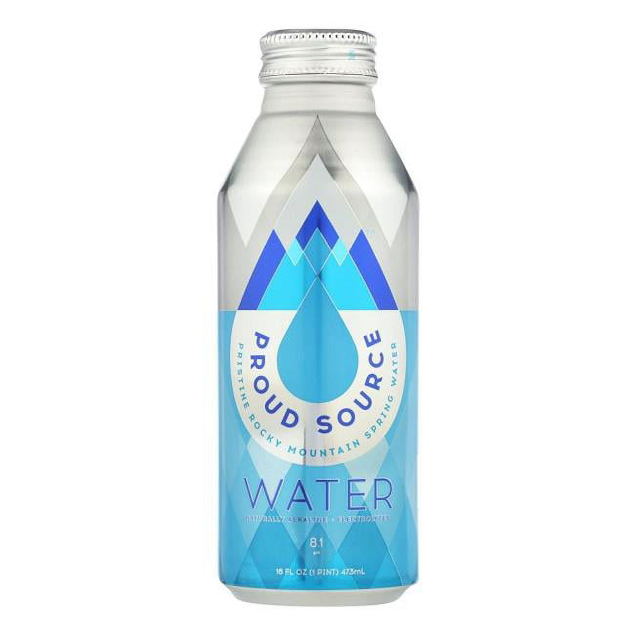 Proud Source Water 16 fl oz Single Serve Spring Water