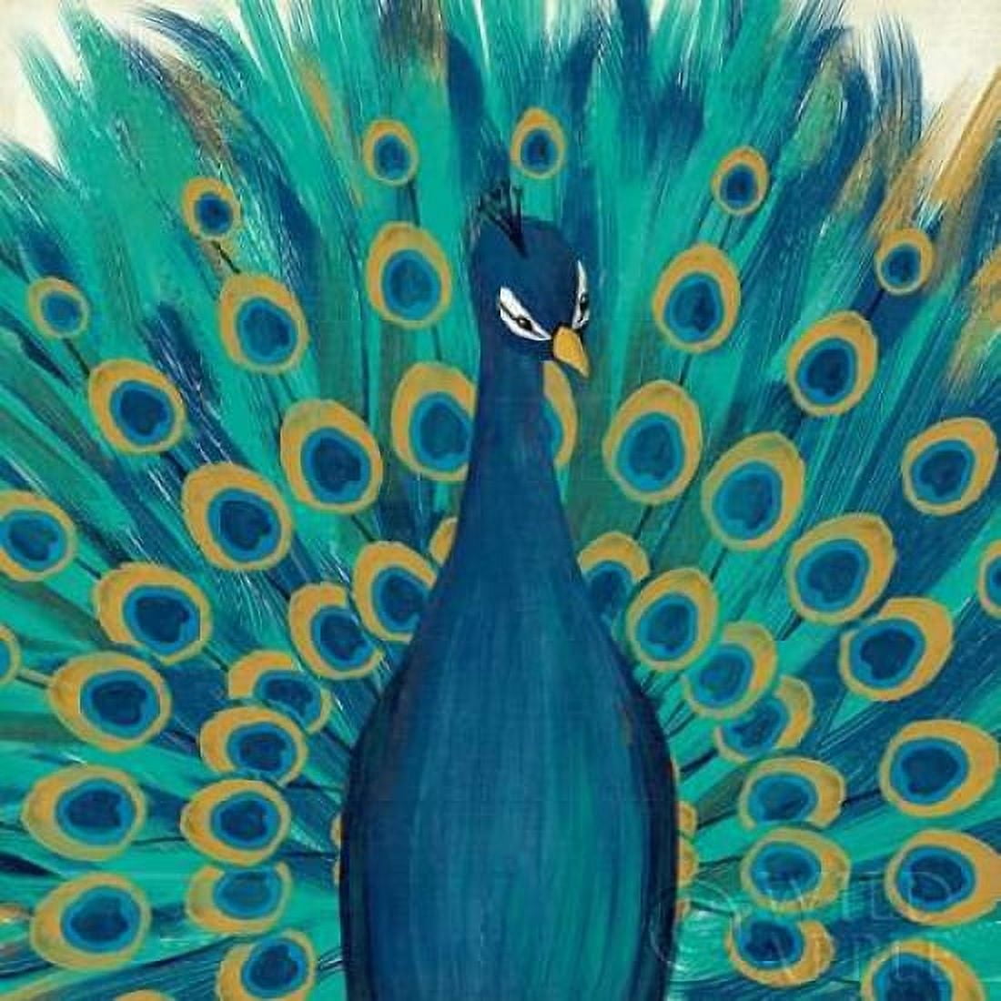 Proud as a Peacock I Canvas Art - Veronique Charron (24 x 24)