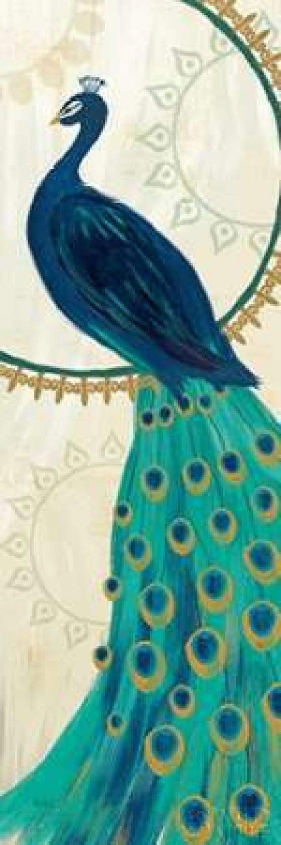 Proud as a Peacock IV Canvas Art - Veronique Charron (12 x 36)